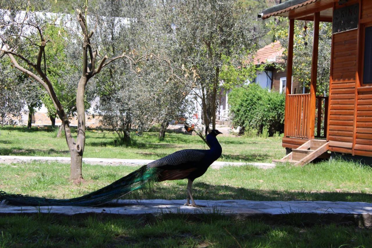 Apartamento Seker Bungalov Çıralı Exterior foto
