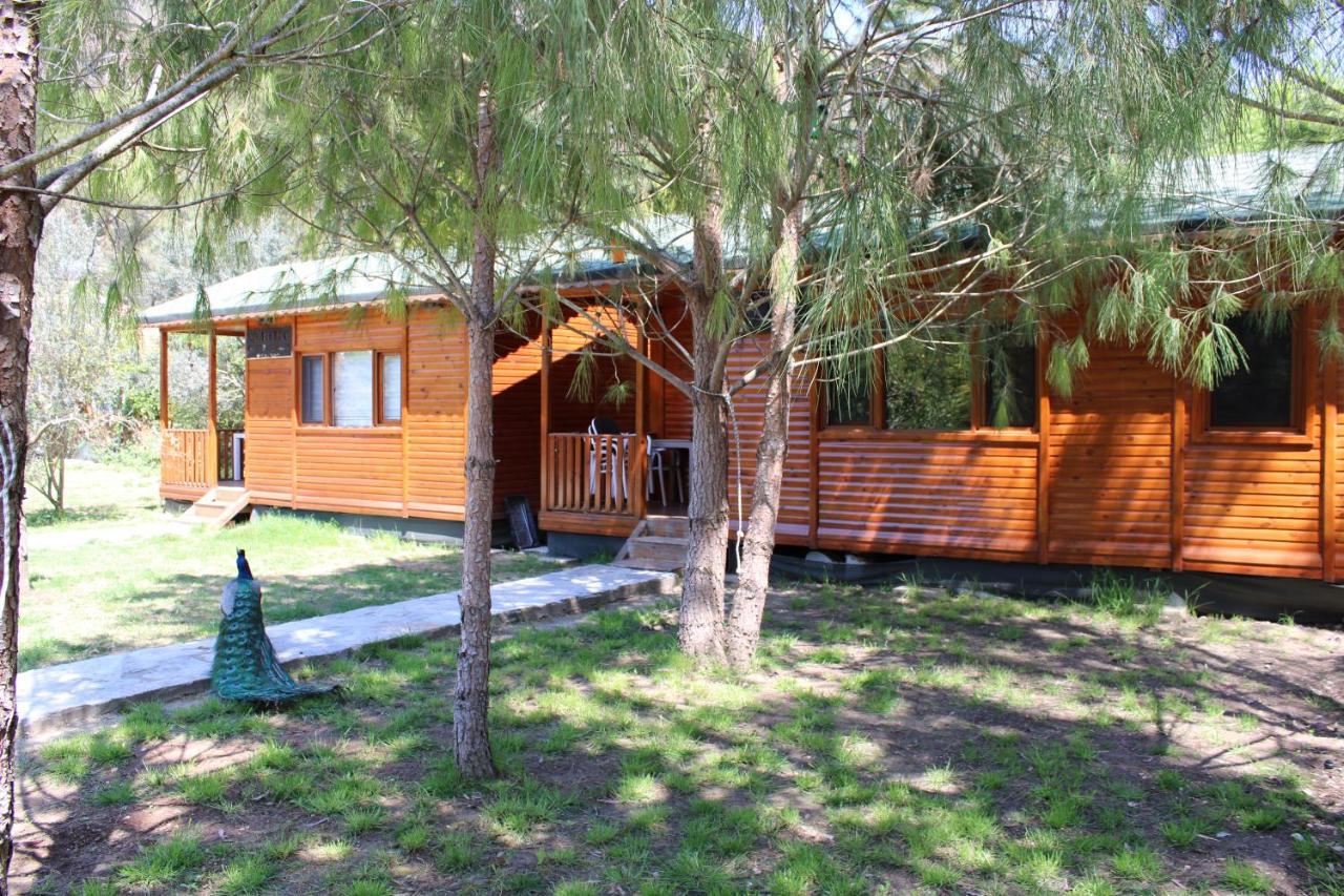 Apartamento Seker Bungalov Çıralı Exterior foto