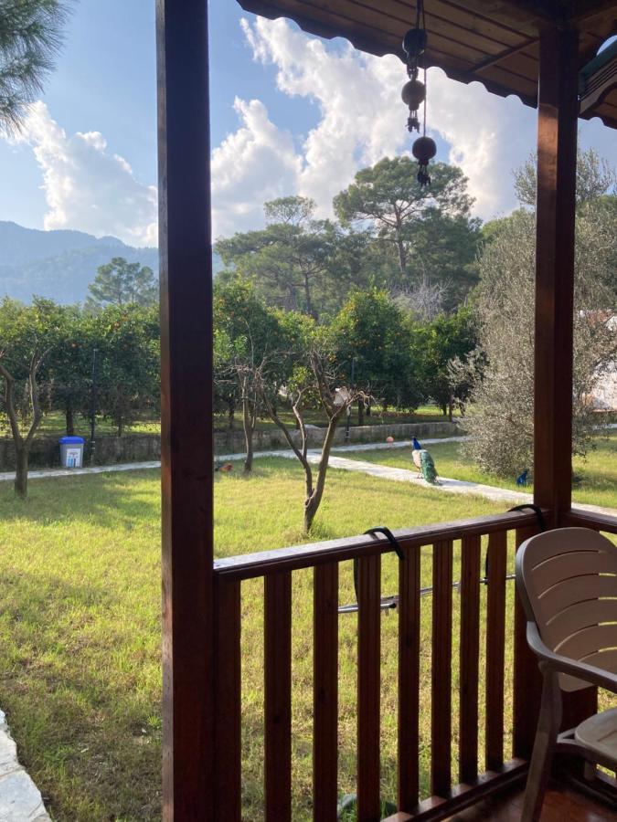 Apartamento Seker Bungalov Çıralı Exterior foto